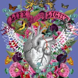 Life and Light 1