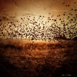 Right Place Right Time 1