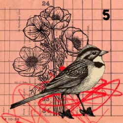 Con mis zapatitos nuevos 1