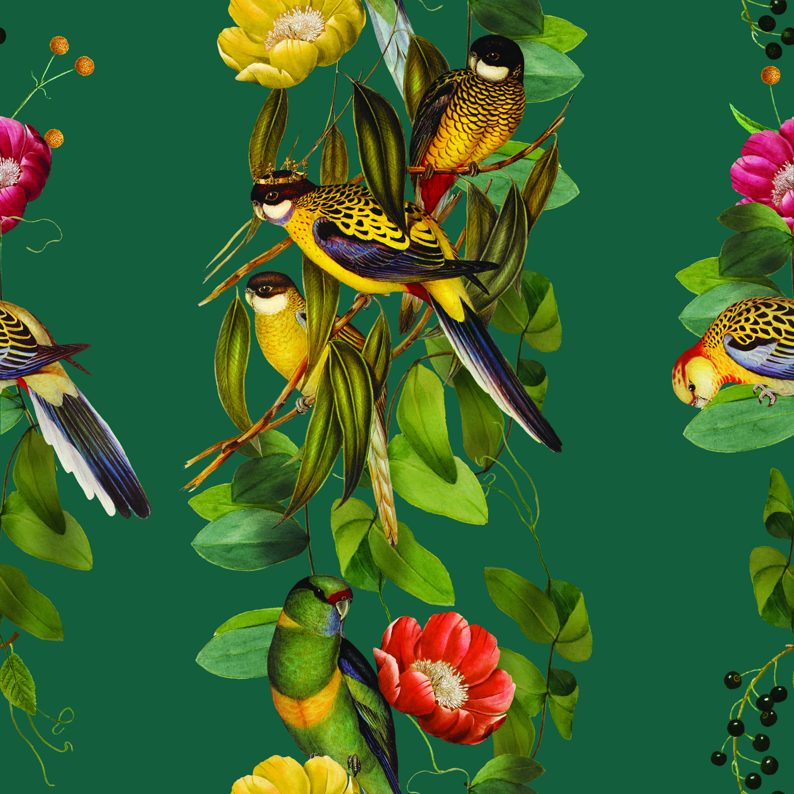 Birds_2_Green_CMYK 1