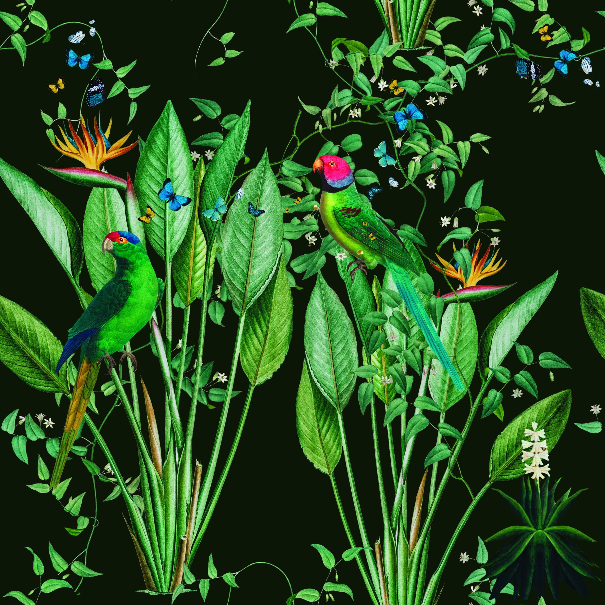 Green Forest - Wallpaper 1