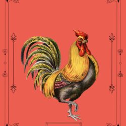 El Gallo - Loteria 1