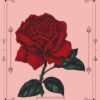 La Rosa - Loteria 1