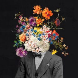 Flower Head - Black background 1