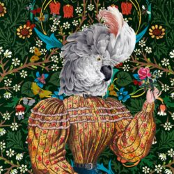 Futura Sra. Feathers 1