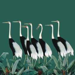 Elegant Cranes - Wallpaper 1