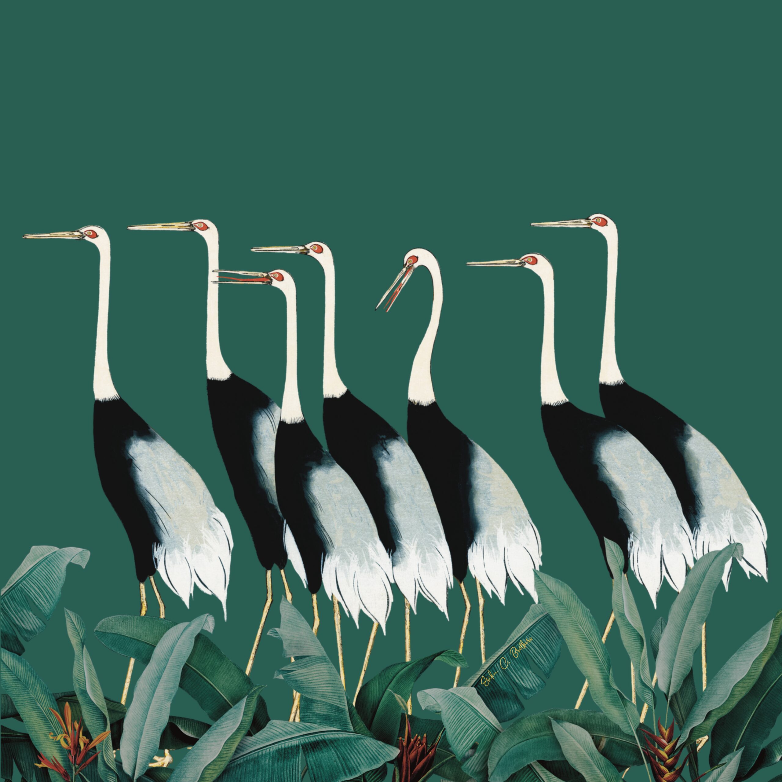 Elegant Cranes - Wallpaper 1