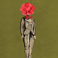 Gentlemen in Bloom Rose 1