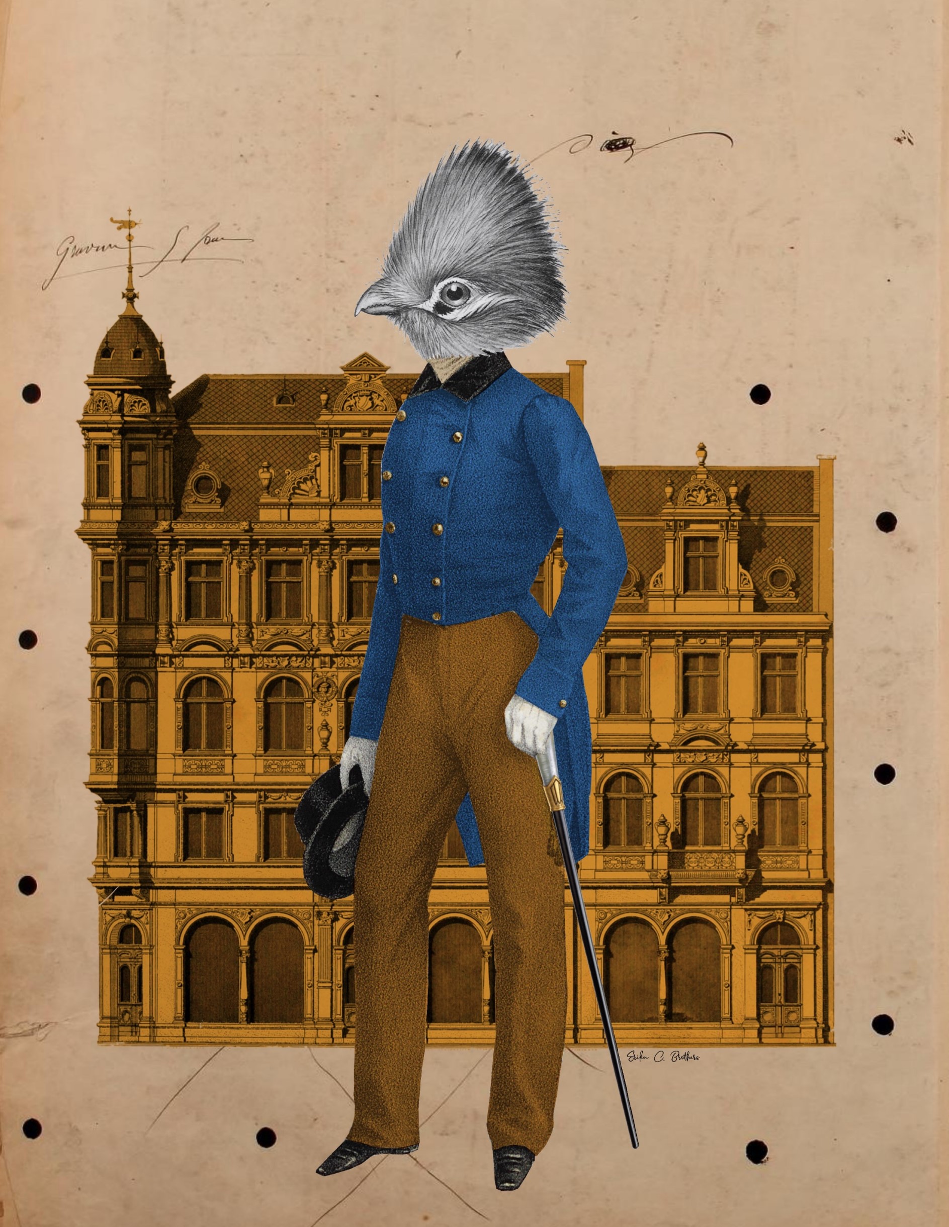 El Caballero 1