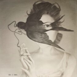 Freedom of the Forgotten 1