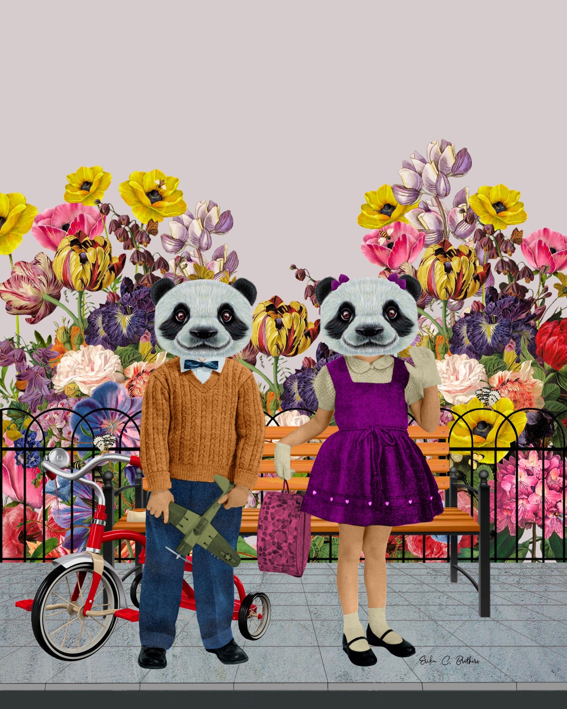 El patio de mi casa 1